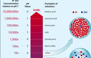 PH changes in the ocean