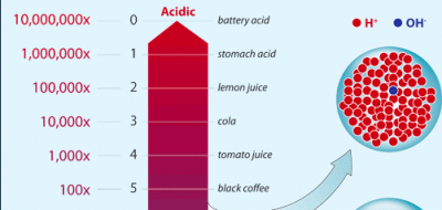 PH changes in the ocean