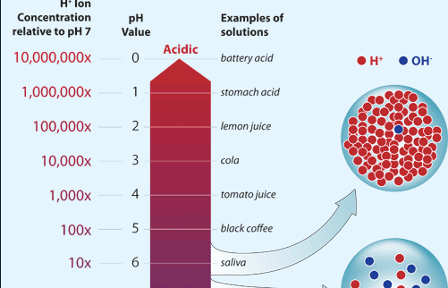 PH changes in the ocean