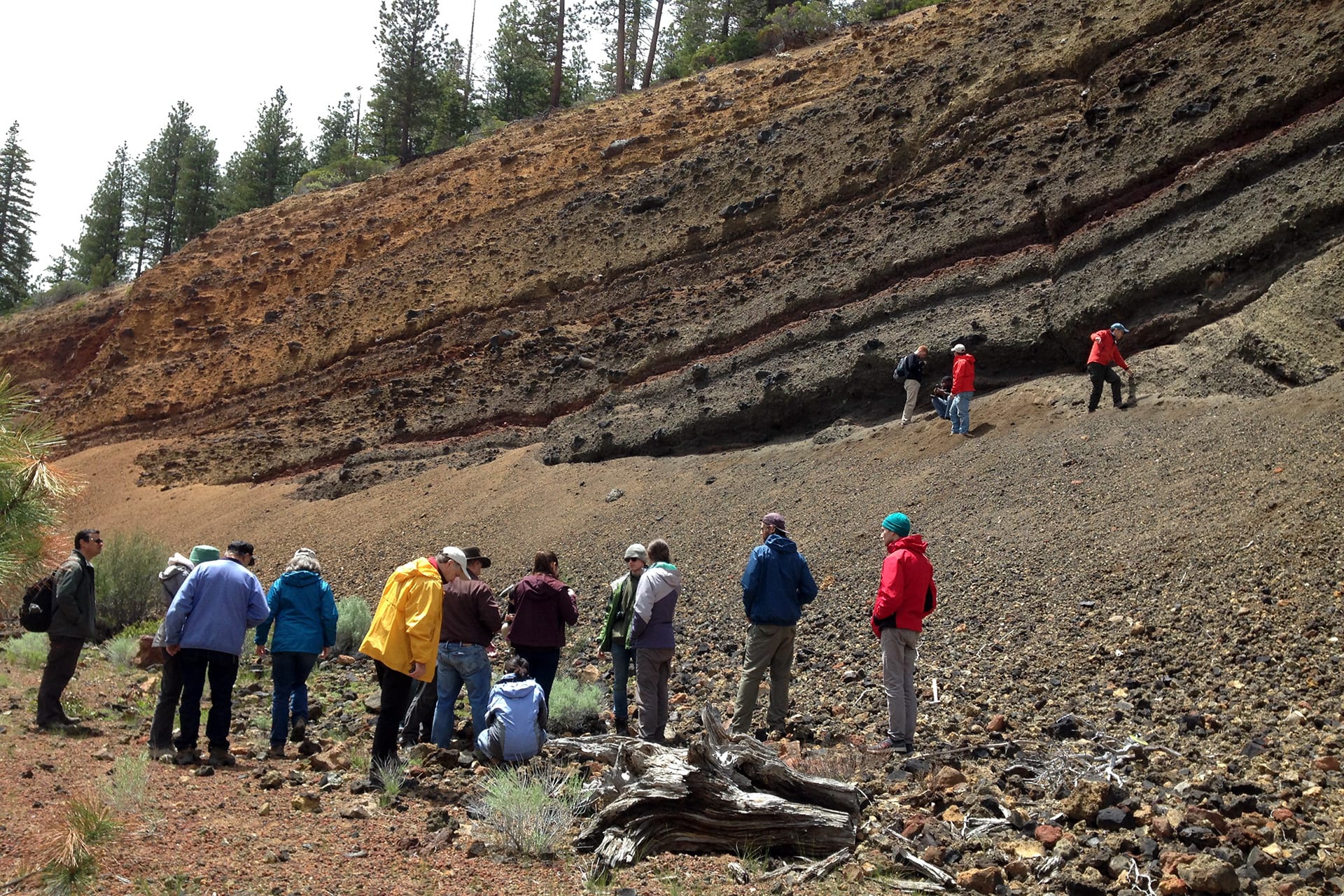 WHOI-geology-geophysics