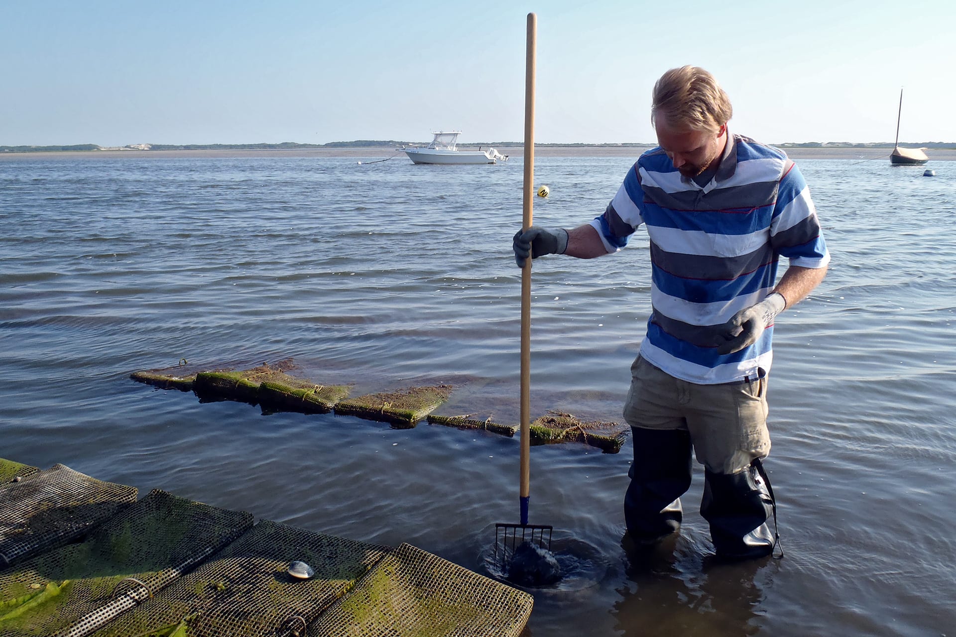 WHOI-programs-projects-seagrant