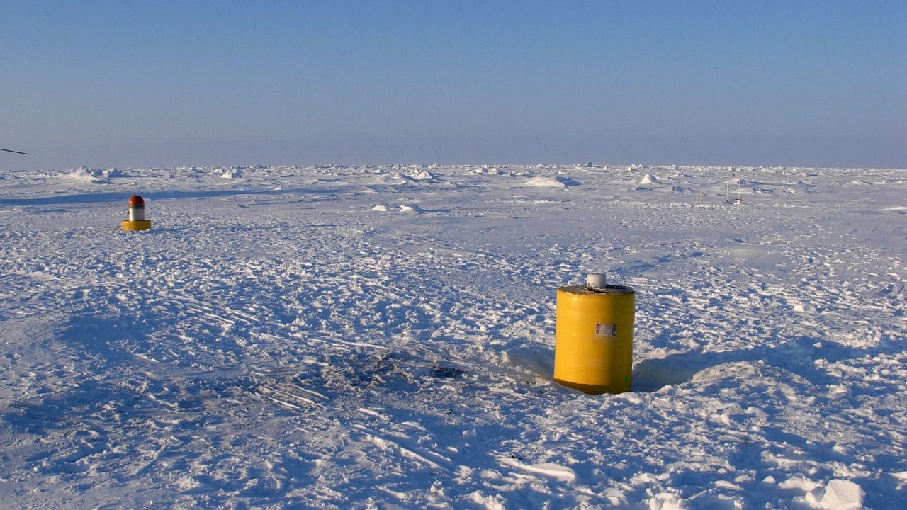 Yellow-ITP-surface-capsule-2-by-Rick-Krishfield_513856.jpg