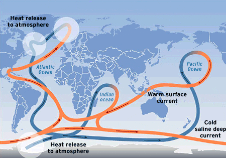 Figure 1: The global ocean circulation system, often called the Ocean Conveyor, transports heat throughout the planet. Orange sections represent warm surface currents; blue represents deep cold currents. Freshening of the North Atlantic may cause a deflection of north-flowing warm currents, possibly causing a regional cooling over the North Atlantic, in western Europe, and eastern North America. (From the Intergovernmental Panel on Climate Change)