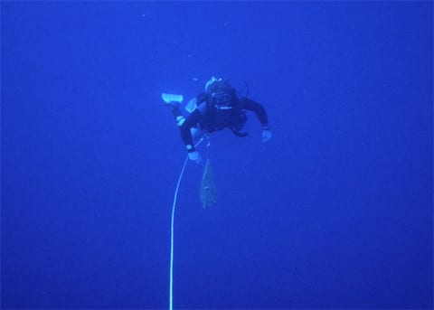 blue water diving