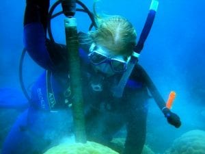 WHOI Grad Student Hannah Barkley drills into a coral colony.