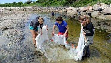 Herring Catchers