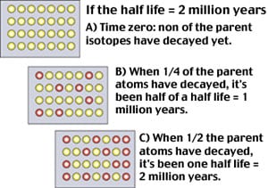 The “half life” of a parent isotope is the time it takes for half of it to decay to its daughter isotopes.