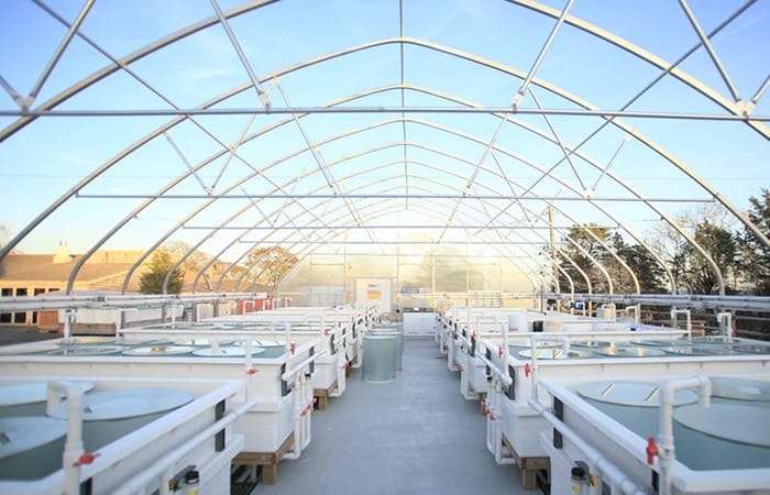 The Mesocosm Lab Slideshow