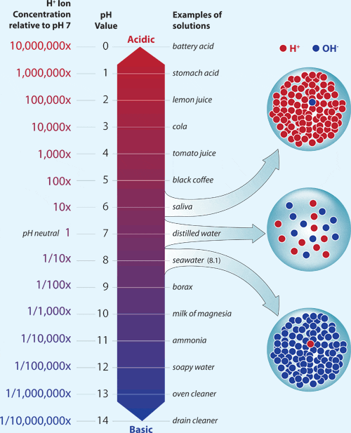 ph scale