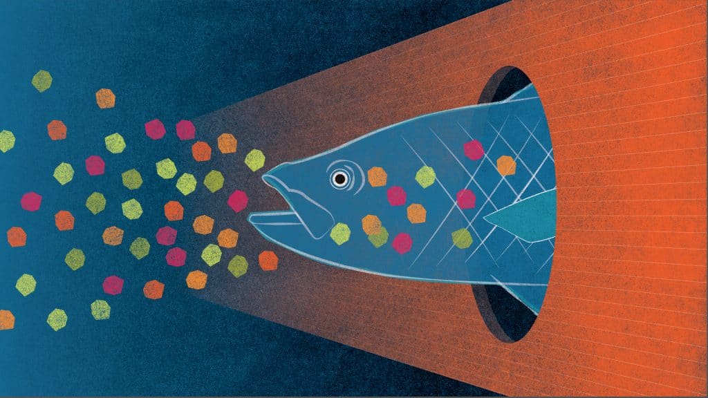 Microplastics in the Ocean – Separating Fact from Fiction