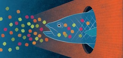 Microplastics in the Ocean – Separating Fact from Fiction