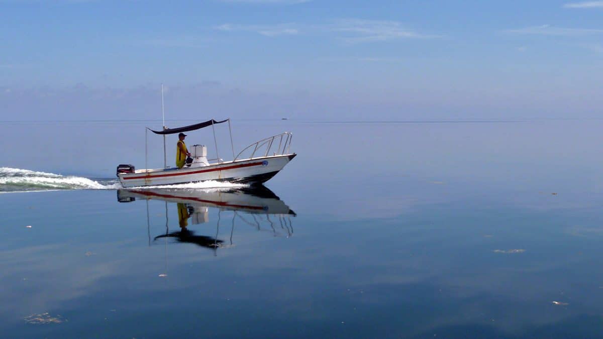 Above the Reef Flat