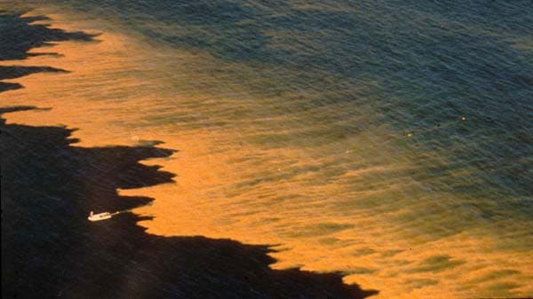 A “red tide” of blooming algae (the dinoflagellate Noctiluca scintillans) stretched more than 20 miles along the coast near LaJolla, California, in spring 1995. Such massive blooms can harm human health, coastal economies, and marine ecosystems. Algal blooms occur naturally, but have become much more common in recent years, some due to human activities that put excess nutrients into the water. (Photo courtesy of Peter Franks, Scripps Institution of Oceanography)