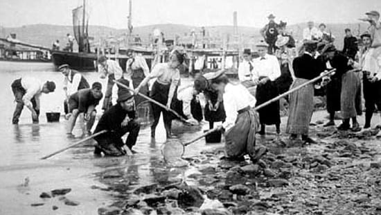 scientific community in woods hole