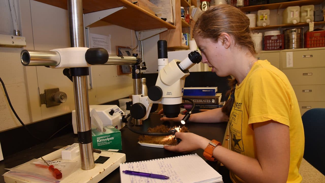 woods hole center for oceans and human health