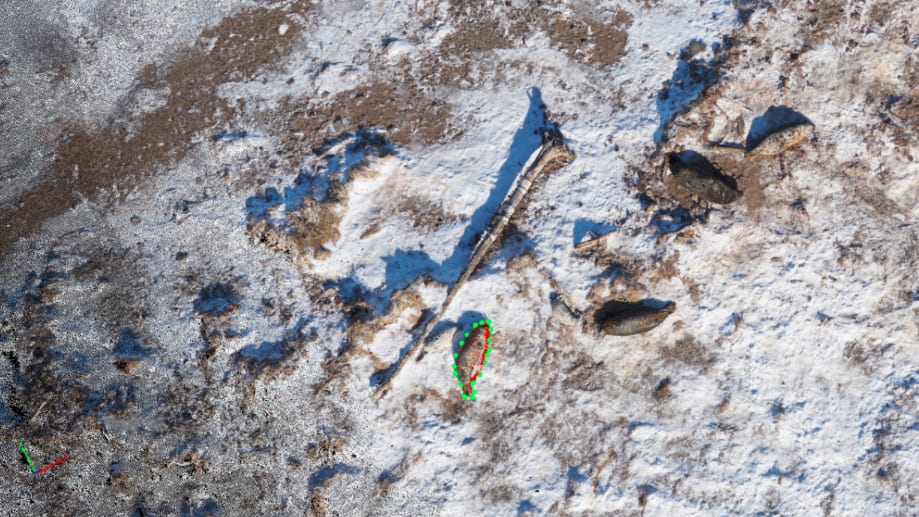 A 3D model of the gray seals, shown here, enables scientists to take body mass measurements of each animal (example outlined in green). Photo by Michelle Shero