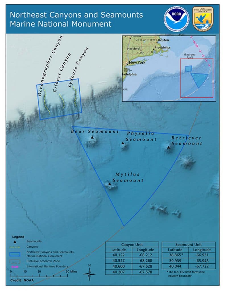 Northeast Canyons and Seamounts National Monument