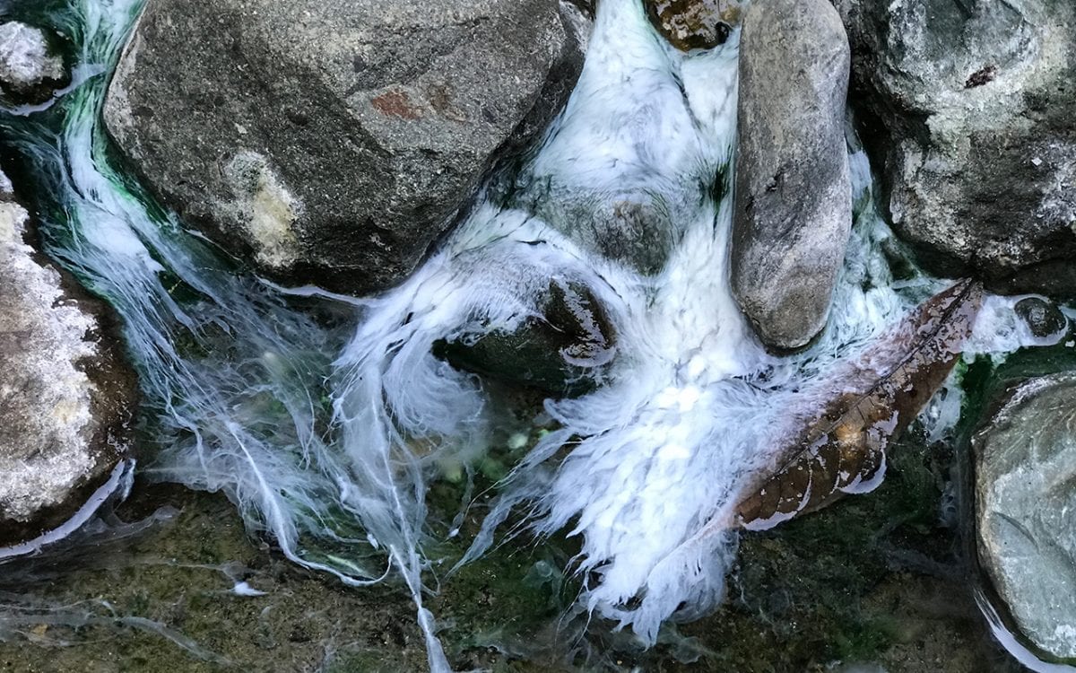 Biofilm in a natural seep in Costa Rica. Credit: Peter Barry.