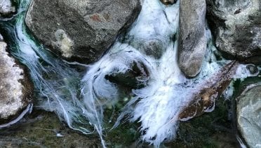 Biofilm in a natural seep in Costa Rica. Credit: Peter Barry.