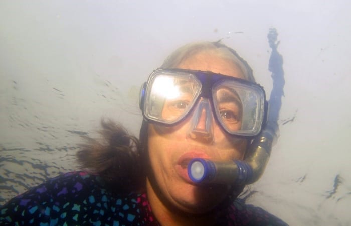 Conducting research in Farm Pond on Martha's Vineyard in August 2013, WHOI scientist Mary Carman was stung by a clinging jellyfish. She investigated further and found more reports of clinging jellyfish stings in the area. Photo by Dann Blackwood, U.S. Geological Survey, Woods Hole.