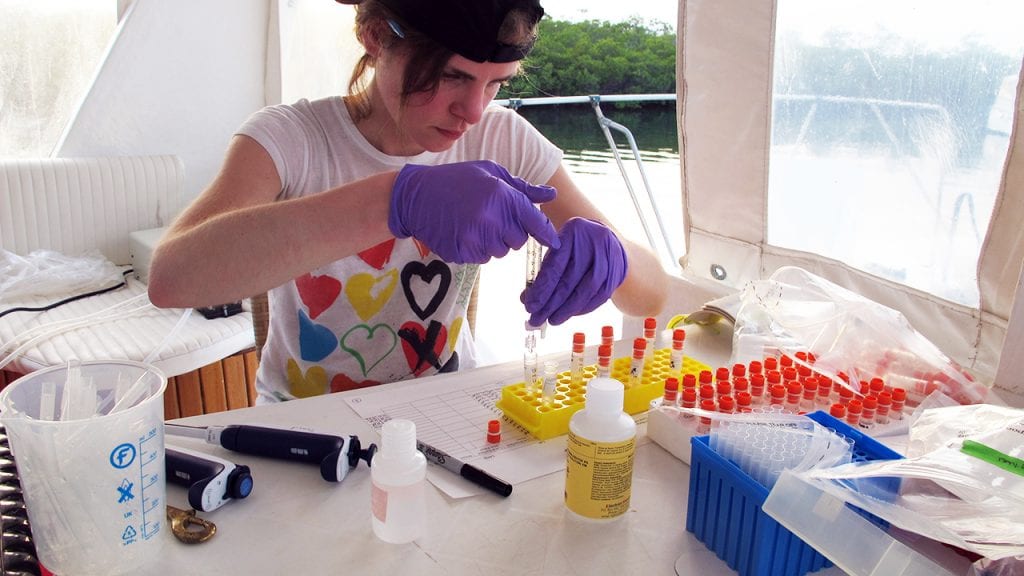 Laura Weber processes the seawater samples aboard the research vessel in Jardines de la Reina, Cuba. (Photo by Amy Apprill, Woods Hole Oceanographic Institution)