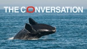 WHOI featured in The Conversation