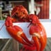 the seafood dilemma