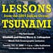 Lesson from the 2004 Indian Ocean Tsunami