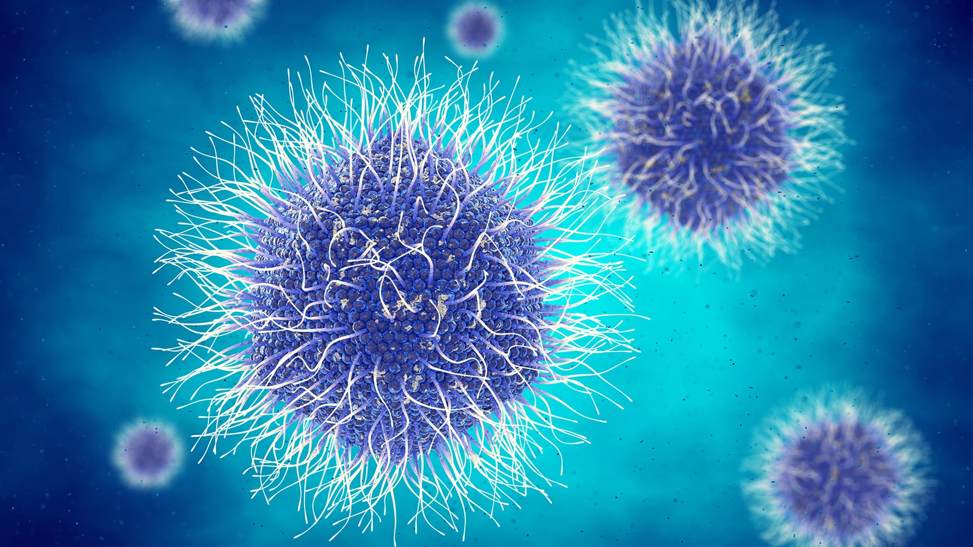 An illustration of an organism infected with the giant virus known as Mimivirus. Credit: Shutterstock