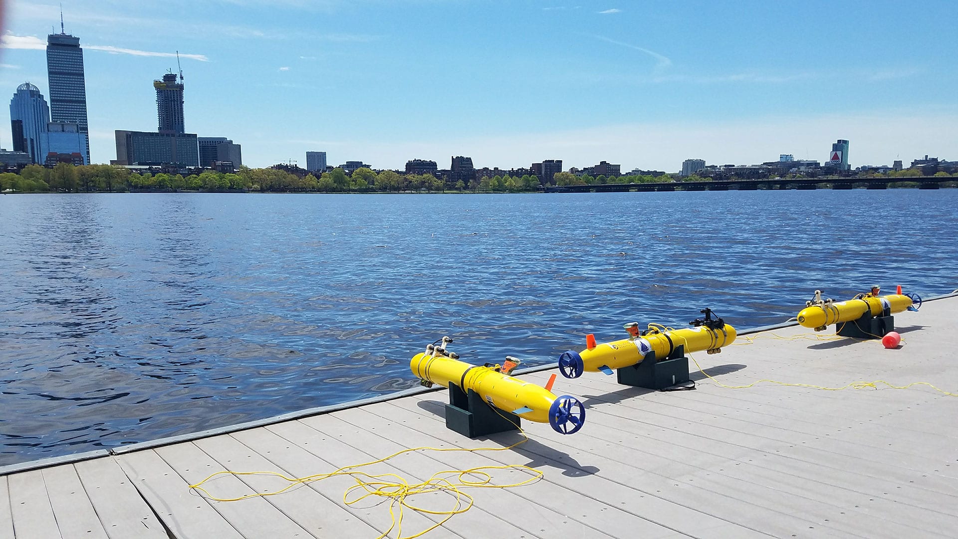 SandSharks on the Charles River Dock