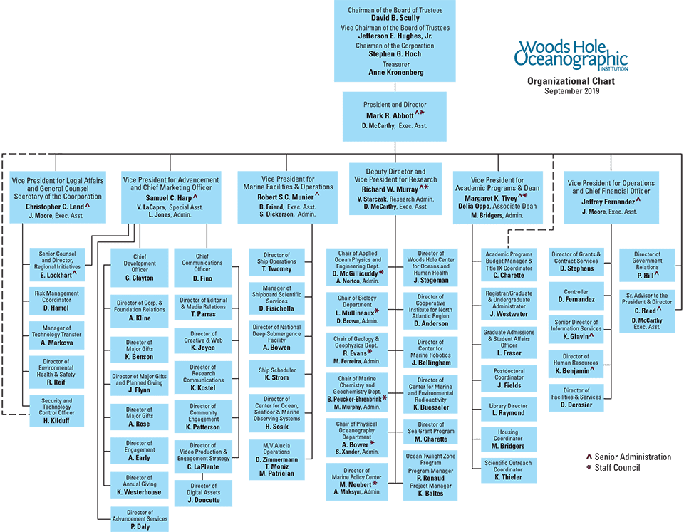 Organizational Chart Cruise Ship