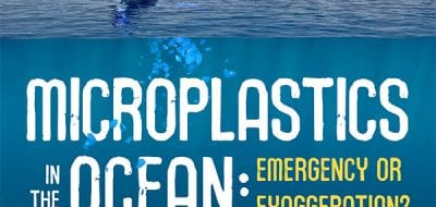 marine microplastics