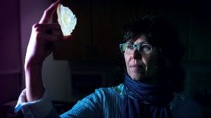 WHOI Senior Scientist Joan Bernhard holds a synthetic model of a foram species known as Astrammina