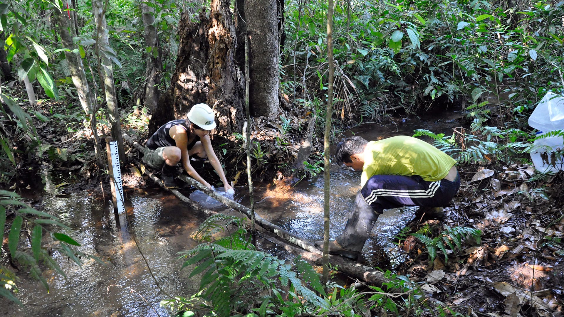 Participants in a previous expedition to the Amazon River collect water samples. The samples provide a better understanding of the water’s history, what processes it has undergone, and variability in its chemical makeup from various points along the river. (Photo courtesy of Sarah Rosengard)