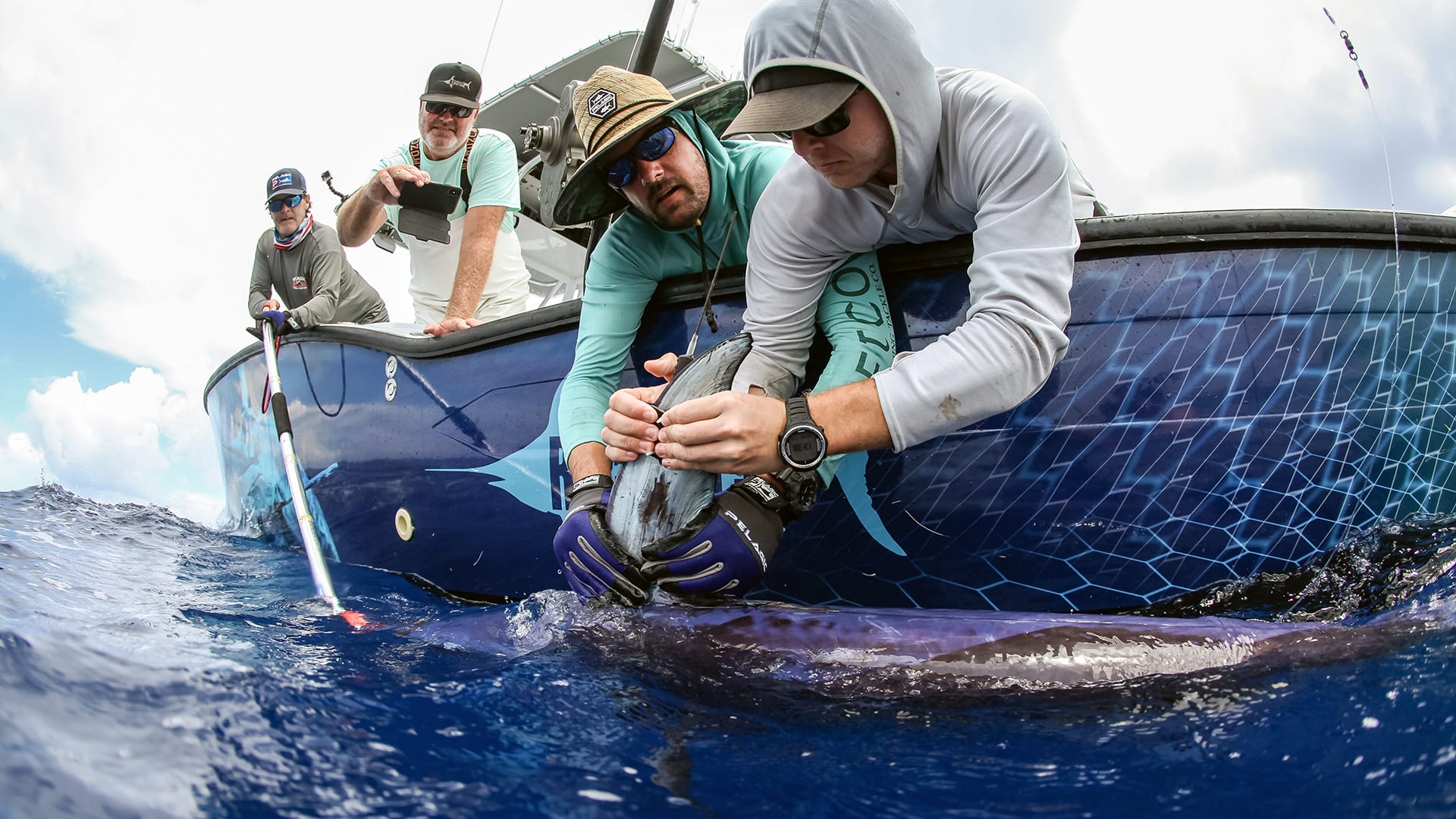 University of Washington ceanographers Peter Gaube (wearing purple gloves) and Camrin Braun (far right) attach a satellite tag on a swordfish in August 2019 off the coast of Florida. (Photo by Steve Dougherty Photography)