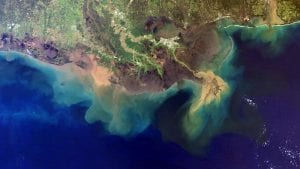 Low-oxygen “dead zones” and phytoplankton blooms