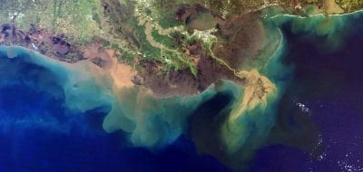 Low-oxygen “dead zones” and phytoplankton blooms