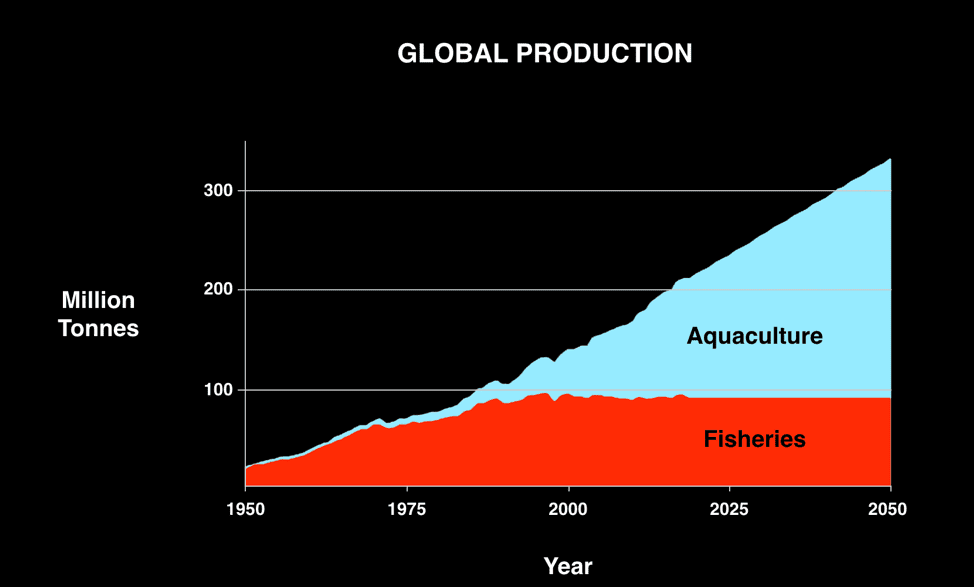 global production