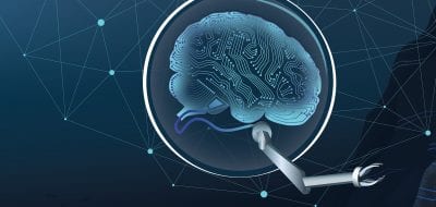 brain