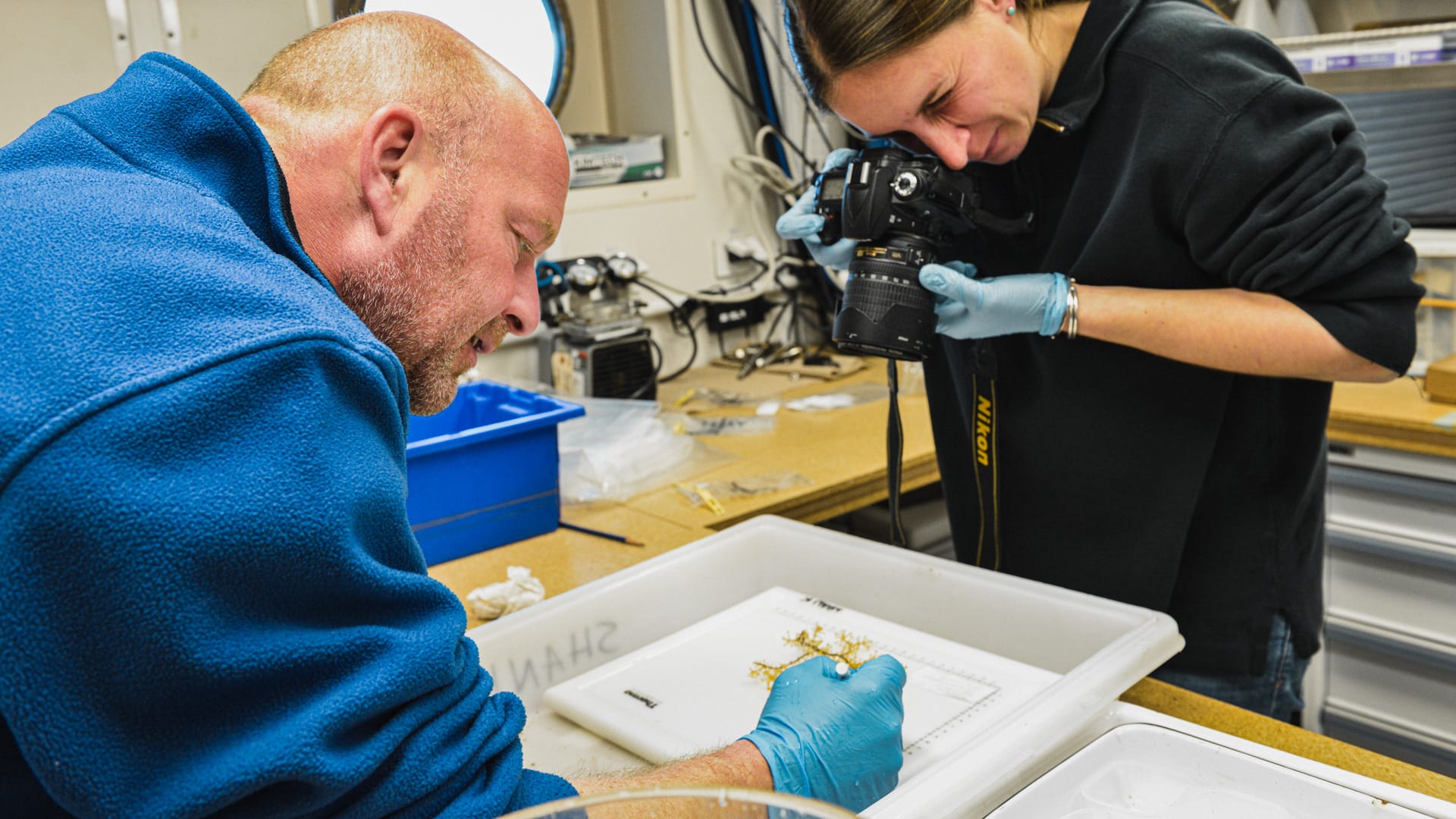 WHOI biologists Tim Shank and Taylor Heyl process coral samples to determine biodiversity in Atlantis Canyon, 100 miles from Woods Hole, Mass. (Photo by Ken Kostel, © Woods Hole Oceanographic Institution)