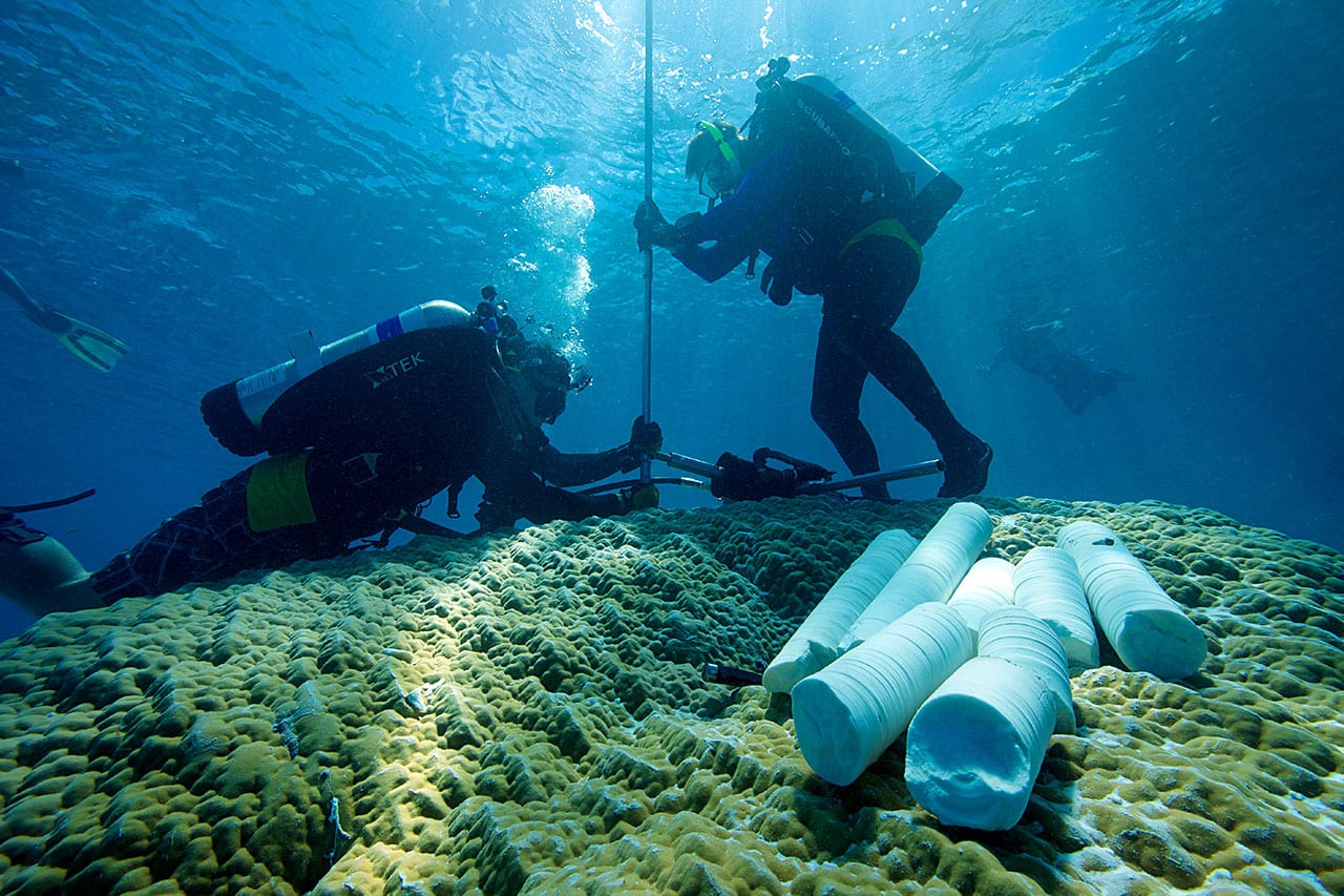Divers extracting corals
