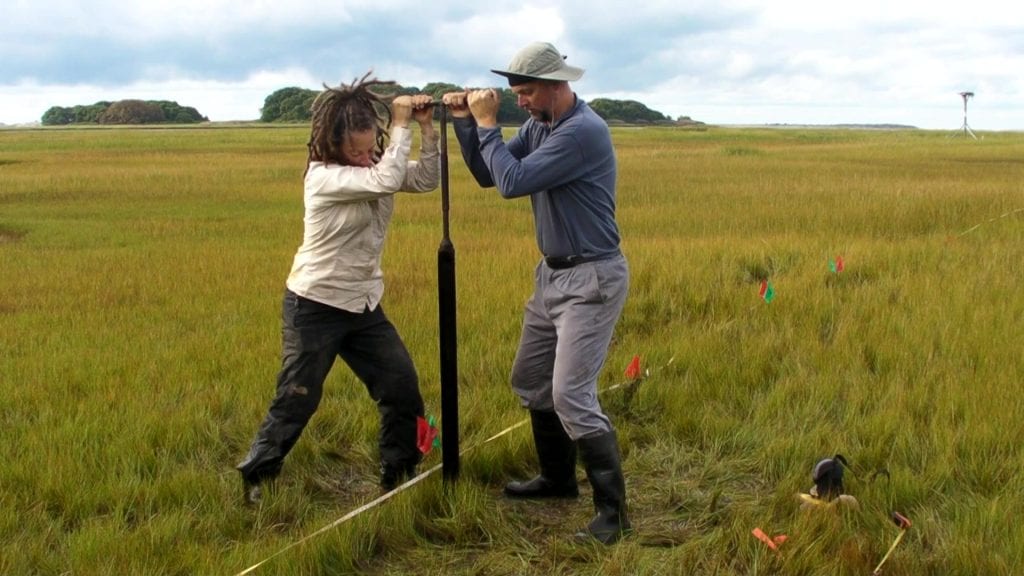 Margot Saher (left) of Bangor University and Roland Gehrels of University of York work together to obtain a sediment core from Barn Island salt marsh in Stonington, Conn. (Image Courtesy of Roland Gehrels, University of York)