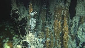 hydrothermal vent