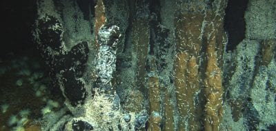 hydrothermal vent