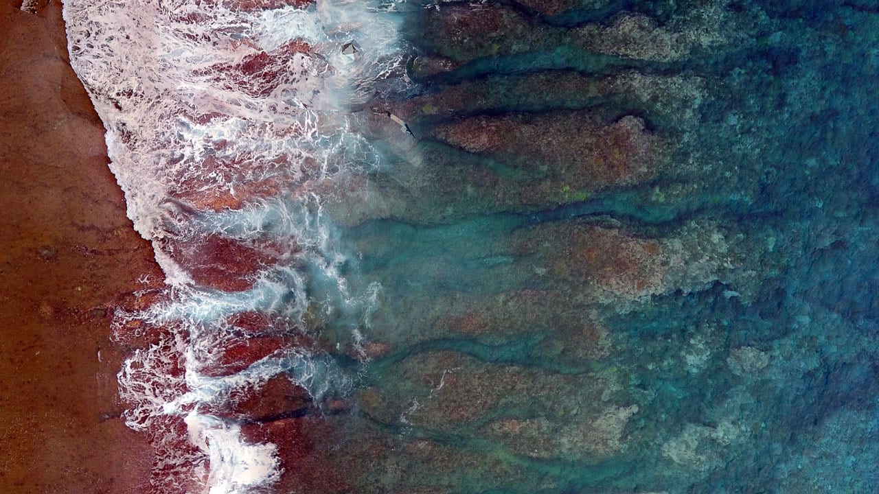 As waves drive sediment into coral reefs, channel-like grooves, which appear as black and cyan cracks in the red algae-covered reef shown here, can form in reef surfaces and help keep abrasive sediment away from damaging actively growing coral. (Photo by Richard Sullivan, © Woods Hole Oceanographic Institution)