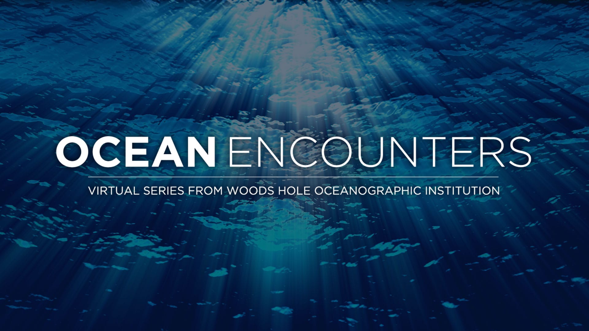ocean encounters