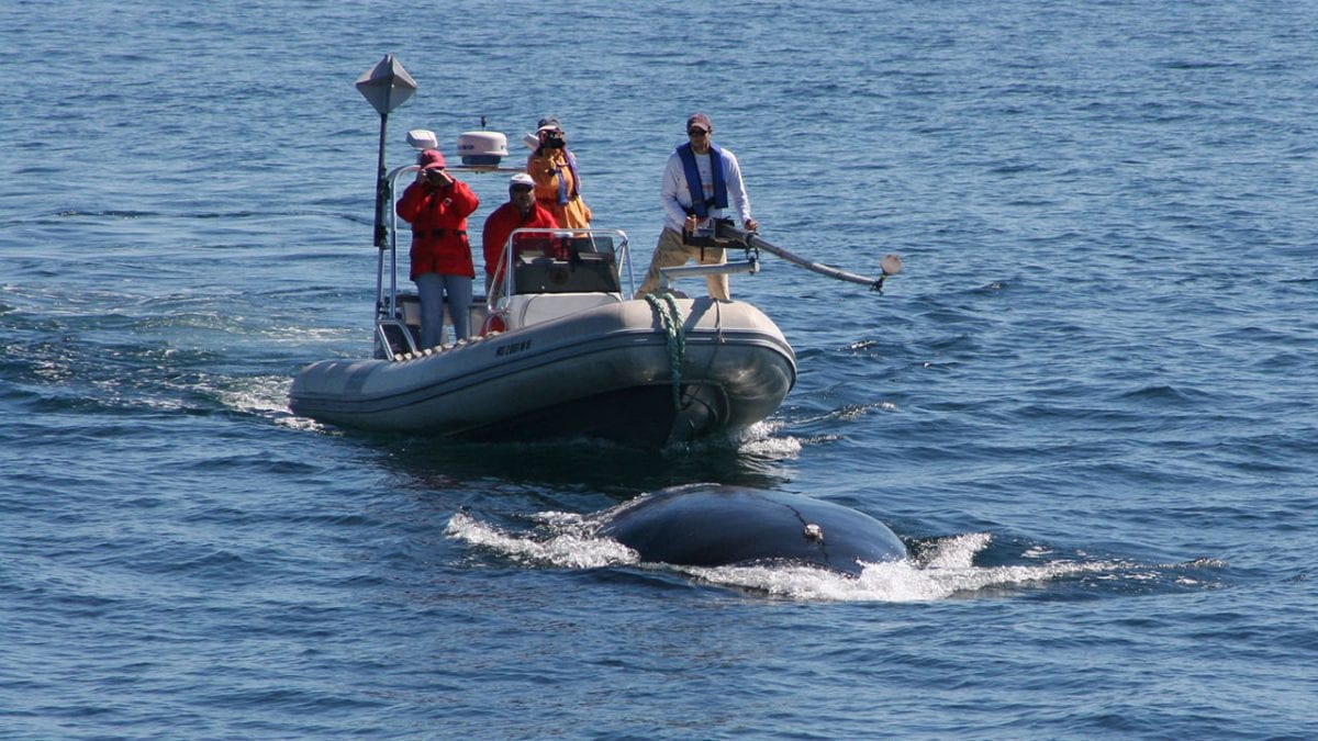WHOI Small Boat Program Woods Hole Oceanographic Institution