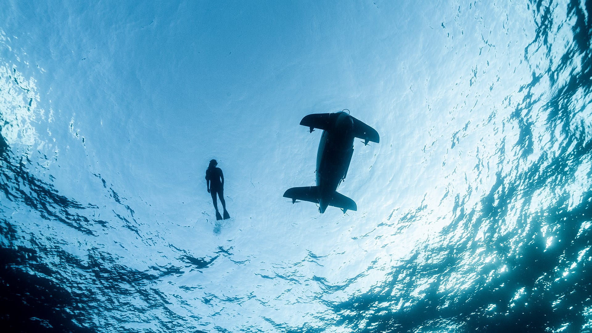 An Underside view of AUV <em>Sentry</em> and a swimmer at the water surface. (Photo by Luis Lamar, © Woods Hole Oceanographic Institution)