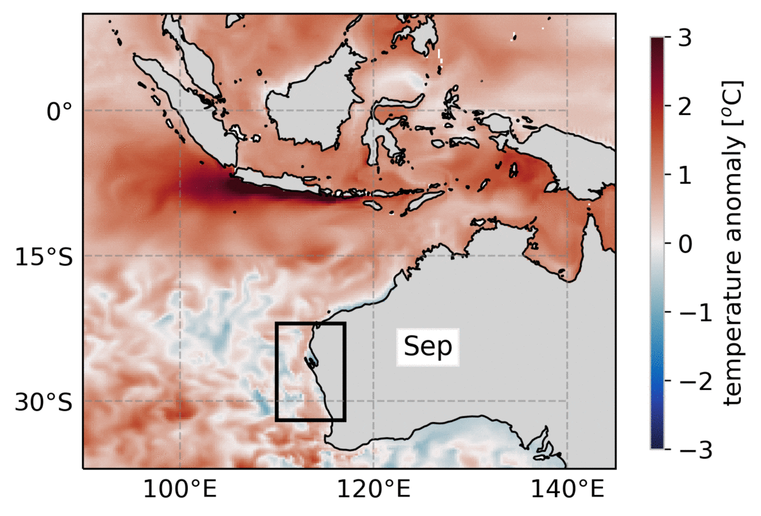 A new global ocean model shows how ocean processes affect marine heatwaves at depth off the west coast of Australia. Here, a case study of a catastrophic "Ningaloo Niño" event demonstrates how a marine heatwave impacted seawater temperatures at depth during the 2011/2012 austral winter.