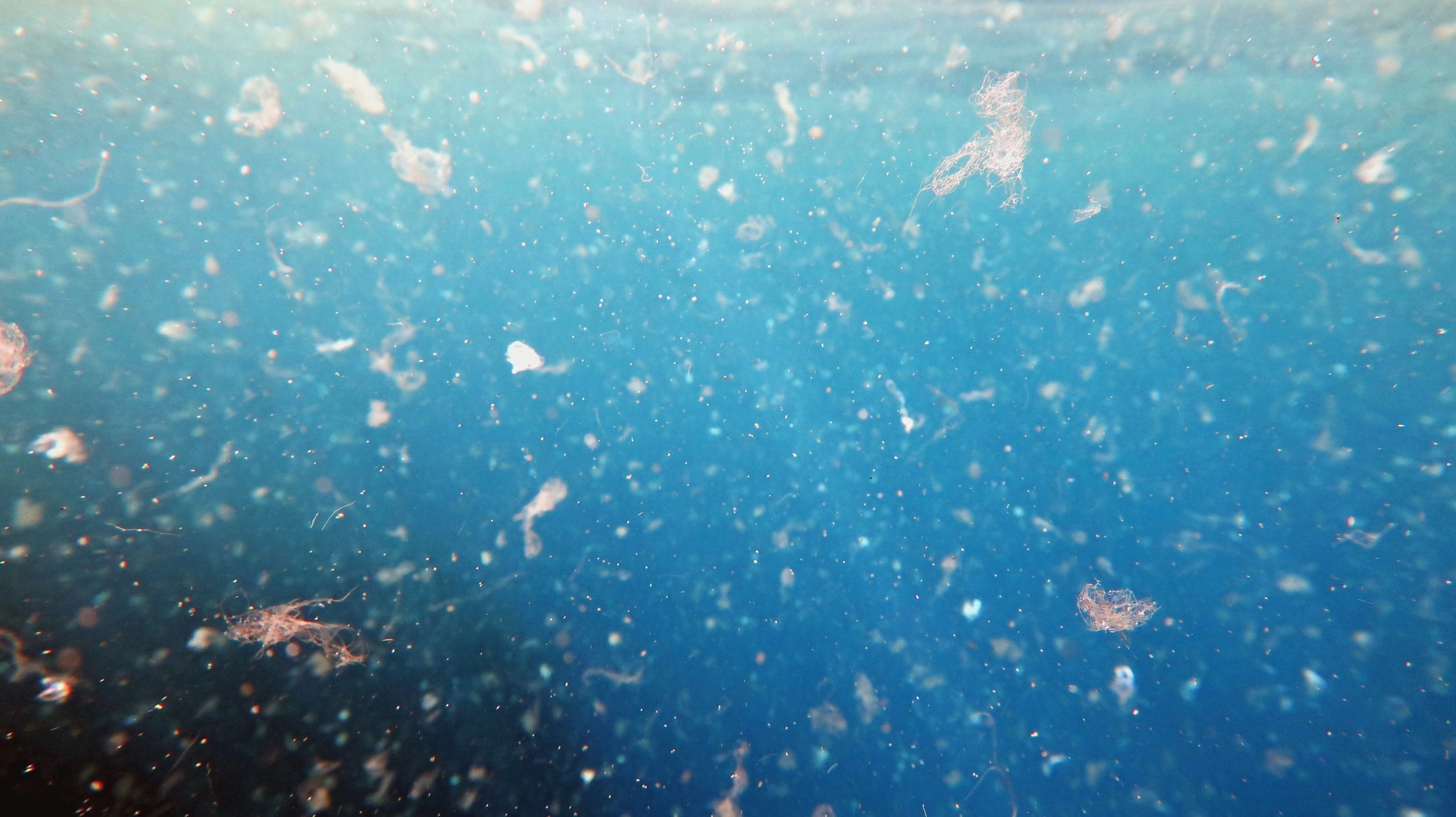 Microplastics in the ocean